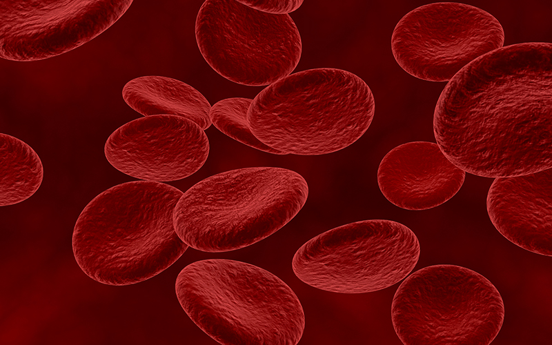 imagen HEMOGLOBINA imagen HEMOGLOBINA